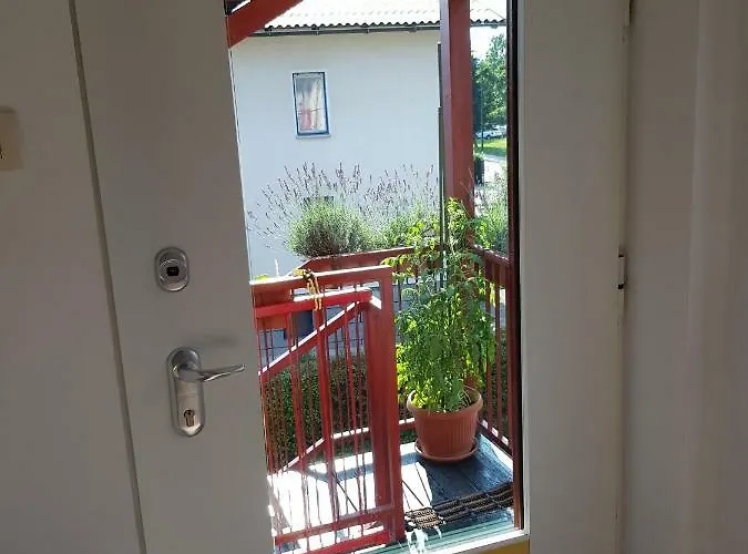 Ljubljana's Terrace *