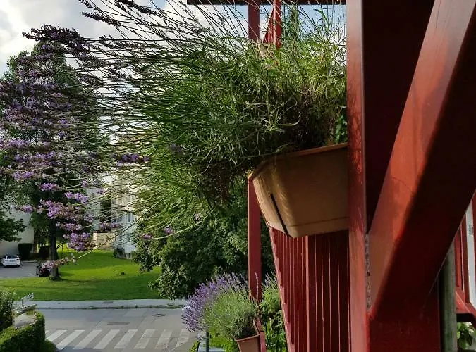 Ljubljana's Terrace לובליאנה